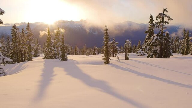 Panoramic View of Canadian Nature Landscape on top of snow covered mountain and green trees during spring sunset. Taken at Elfin Lake in Squamish, North of Vancouver, British Columbia, Canada.