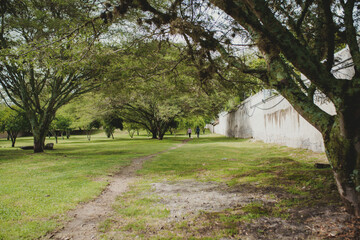 Couple walking in the park