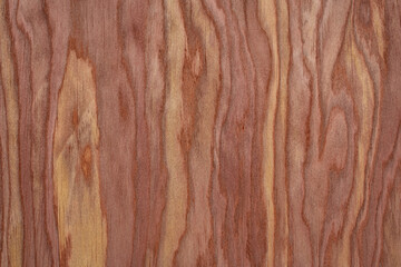 background and texture of wood veneer - red cedar tree