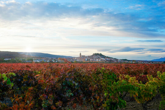 NAVARRETE ATARDECER EN LA RIOJA, ESPA&Ntilde;A