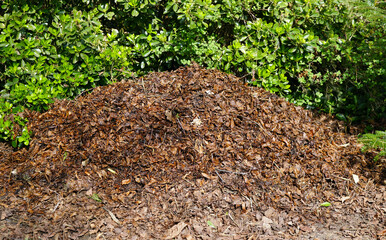 Obraz premium Blätterkompost