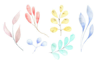 A watercolor set of different twigs and leaves, pastel delicate colors, isolated elements on a white background. Botanical illustration for postcards, scrapbooking, design