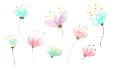 A watercolor set of different abstract flower buds, pastel delicate colors, isolated elements on a white background. Botanical illustration for postcards, scrapbooking, design