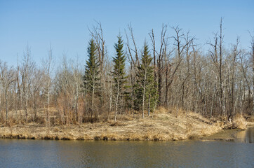 Pylypow during the Spring Season