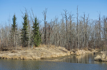 Pylypow during the Spring Season