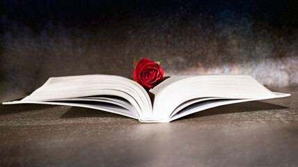 Red rose over the open white book. Selected focus. Christian concept.