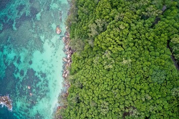 Drone field of view of rocky coastline and cliffs meeting sea Praslin, Seychelles.