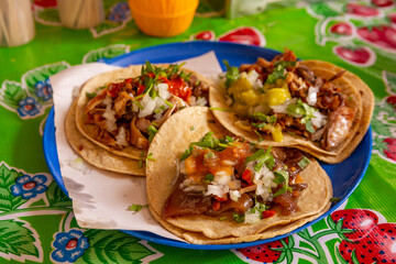 Pork, Cuerito, Solid and Campechano carnitas tacos, prepared with coriander, onion and sauces as well as pickled chiles, a typical dish from Michoacan, Mexico, in a classic taqueria.