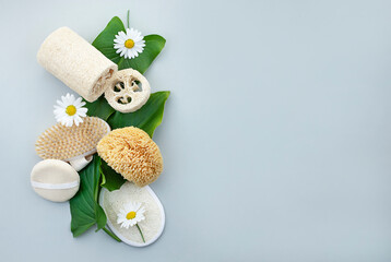 Top view of natural brush, daisies and sponges on grey background. Spa, body and beauty care concept.