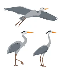 Raamstickers Reiger Set van reiger vogels in verschillende poses geïsoleerd