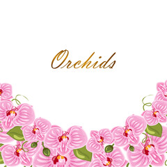 Floral banner with orchids and gold lettering on a white background.