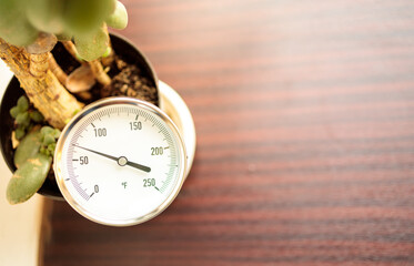 a pressure gauge is stuck in a pot with a flower standing on the windowsill