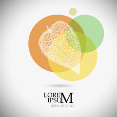 Abstract logo physalys. Vector illustration