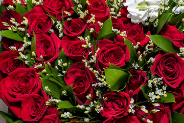 bouquet of red roses