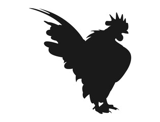 The silhouette of a serama chicken showing off its appearance and beautiful voice
