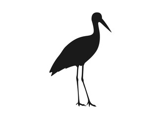 Silhouette of a crane standing ready to watch its prey 