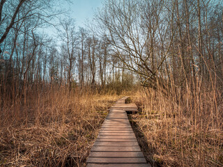 Moorland at the Wörthsee Bavarian area Roundtrip