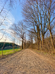 Nobody walk though the Pfaffenhofen Forest 