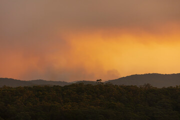 Photograph of bushfire smoke in The Blue Mountains in Australia