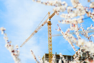 Spring blossom construction crane building - 430661935