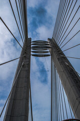 Fototapeta premium city bridge city