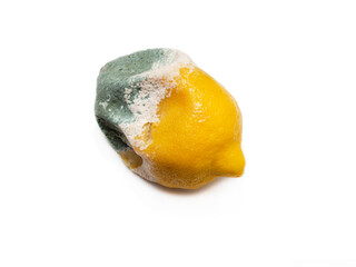 One rotten, half-decomposed, limp, green-and-white moldy fruit on a white background. Spoiled,...