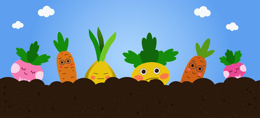 Image of vegetables in the ground in beds. Carrots, onions, turnips, radishes.