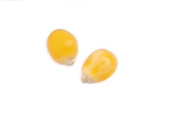 Corn kernels on white background