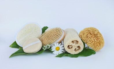 Natural brush and sponges . Spa, body and beauty care concept. 