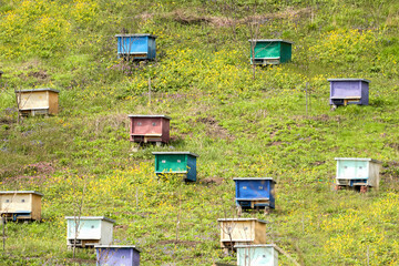  Mountain apiary. Several hives are randomly located on the mountainside. Selective focus.