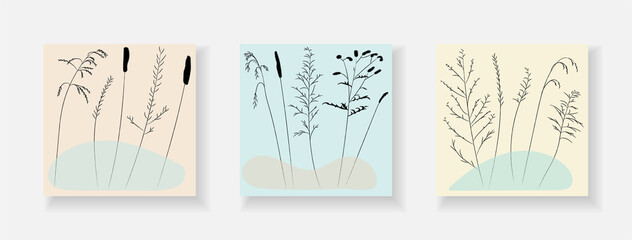 Set of covers with plants of meadows and fields, grass contour for splash design. Simple shapes in the design for a postcard.