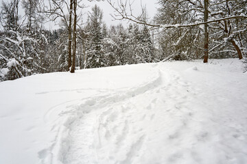 Hiking trail after heavy snowfall in the forest 