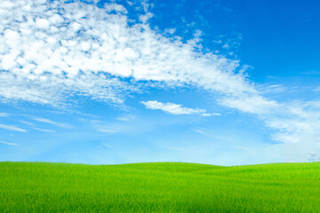 Landscape view of blue sky and high clouds (Cirrus) with grass in the foreground