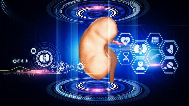 KIdney Analysis Virtual Reality