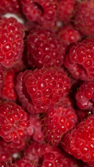red raspberries. Raspberry background. Fresh big bright appetizing raspberry. View from above. Macro photo of a raspberry. large red juicy raspberry berries for background