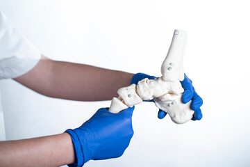physioterapist holding foot skeleton with wite background