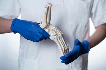 physioterapist holding foot skeleton with wite background