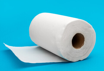 Kitchen Paper towel on blue background.