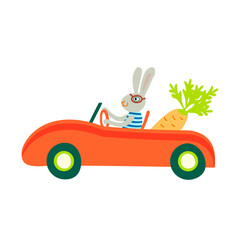 Funny rabbit drives a red retro car with carrot. Hand drawn vector flat illustration isolated on white background.