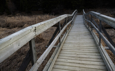 Obraz premium Twisted old wooden bridge crossing an area of dead grass and leading into a dark forest. In muted colors. 
