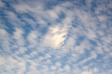 Tapeta kompozycja białych delikatnych chmur na niebieskim niebie	
