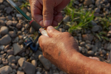 The man takes the fish off the hook. Hands of the fisherman close-up