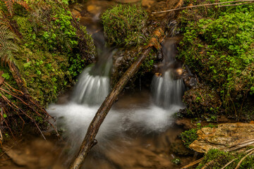 Farsky creek in spring color morning near Roprachtice village