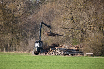 Ein alter Harvester lädt Bruchholz auf einem Holzstapel ab