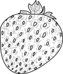 Doodle cute strawberry isolated line. Hand drawn vector illustration coloring. Sketch for a tattoo.