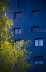 Immeuble bleu moderne avec un feuillage devant