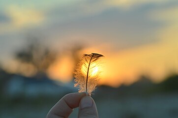 Hand holds a feather on a sunset background. Romance, dreamy mood, travel