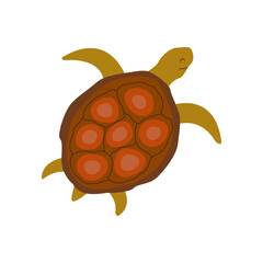 Cute turtle swims slowly. Colorful vector isolated hand drawn illustration. Sea turtle. Amphibian from the ocean