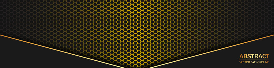 Gold metallic background with carbon fiber mesh.