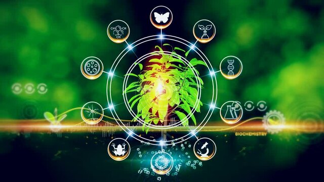 Biochemistry Concept Green environment with Center and spoke Concept ,Plant on center and rotating Icons